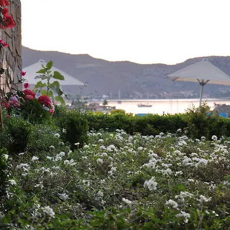 Hotel Badem Selimiye (Aegean)