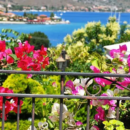 Badem 3*
