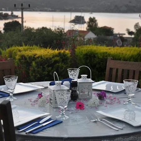Hotel Badem
