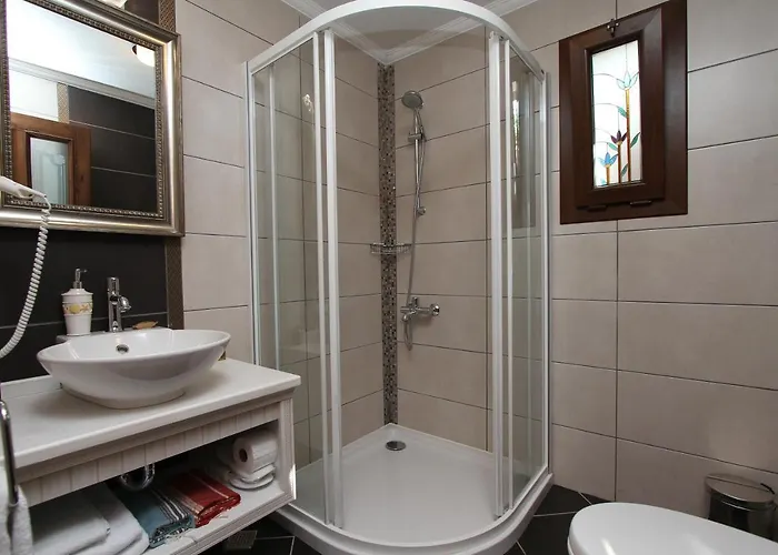 Badem 3* Селемие